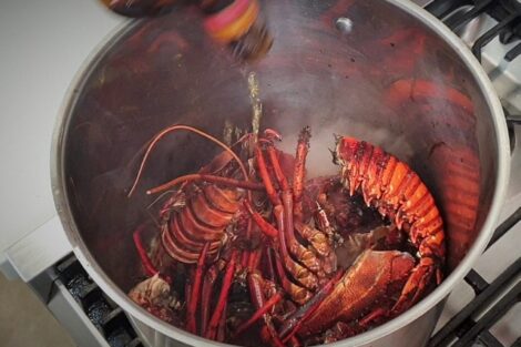 Lobster stock- A great base for sauces and soups – Cooking with